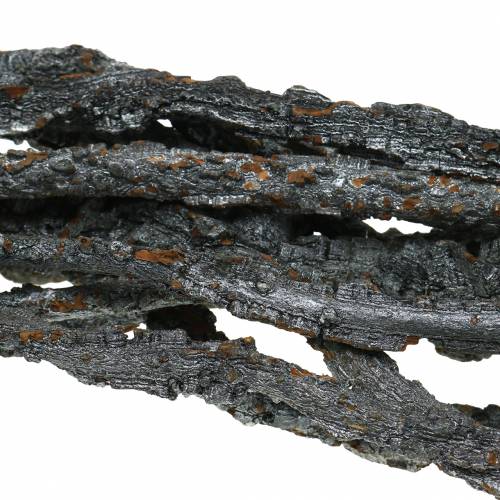 Floristik24 Korkeichen Zweige Muruku Zweige Schwarz 100cm 10 St