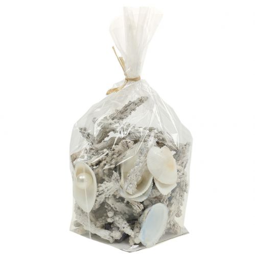 Floristik24 Muschel-Mix mit Perle und Holz Weiß 200g