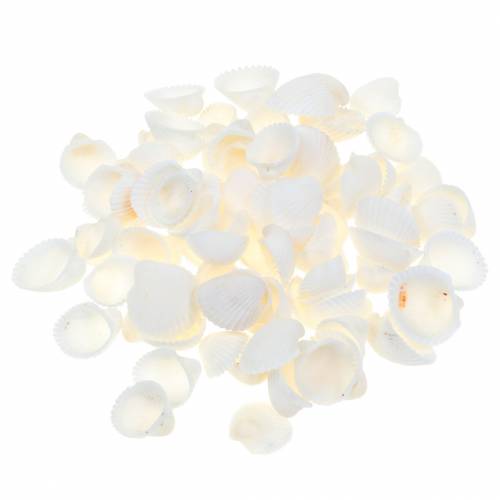 Floristik24 Muschelmix Natur 1kg