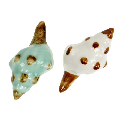 Floristik24 Muschel aus Porzellan sort. 9,5cm 2St