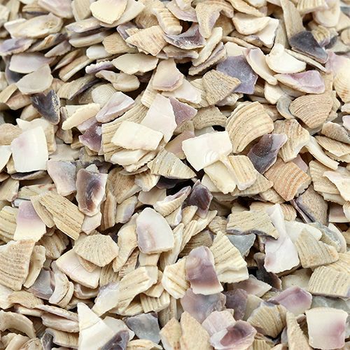 Artikel Muschelgranulat 2mm - 3mm Natur 2kg