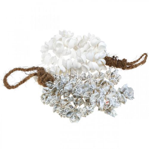 Floristik24 Muscheln Muschelkette Muschel Anhänger Deko Maritim 2St