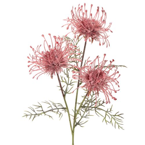 Kunstblume Nadelkissen Protea Blütenzweig 65cm 3St | Floristik24.de