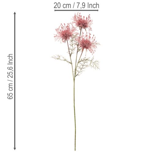 Kunstblume Nadelkissen Protea Blütenzweig 65cm 3St | Floristik24.de