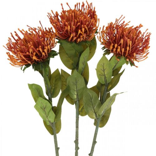 Nadelkissen Exotische Kunstblume Orange Leucospermum Protea 73cm 3St
