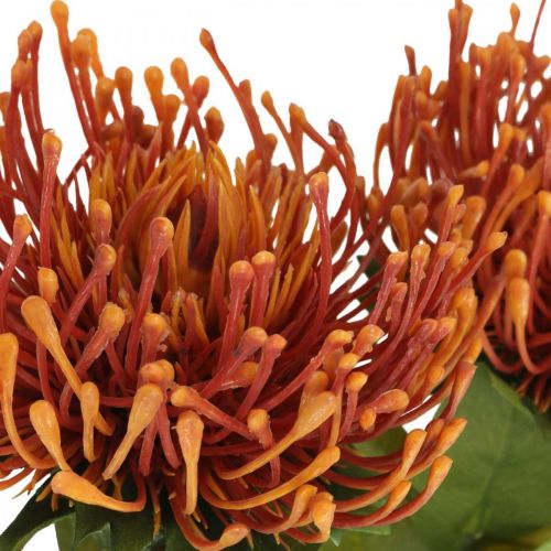 Floristik24.de Nadelkissen Exotische Kunstblume Orange Leucospermum Protea  73cm 3St-00195