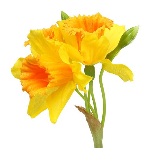 Floristik24 Narzisse Gelb L40cm