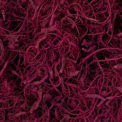 Artikel Naturfaser Tamarind Fibre Bastelbedarf Weinrot 500g - Deko, Floristik, Kreativ