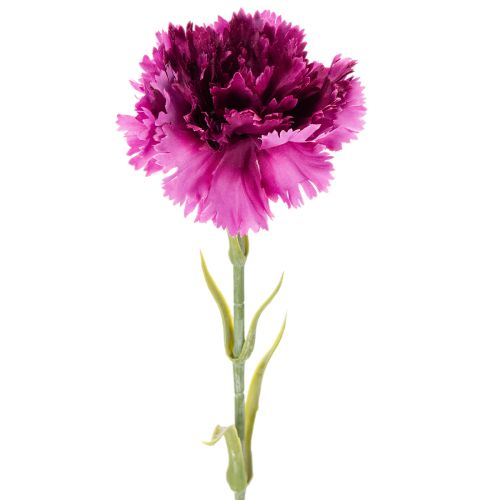 Nelke Kunstblume zweifarbig Langer Stiel 56cm Bund mit 8St