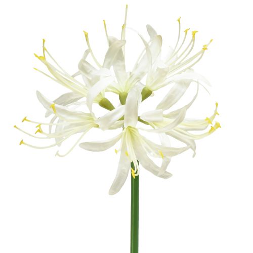 Nerine Guernseylilie Kunstblume Weiß Gelb Ø15cm L65cm