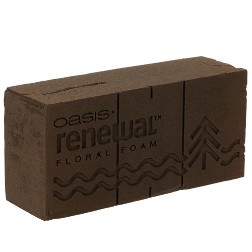 Oasis Renewal Steckschaum 23cm 1 Ziegel kaufen | Floristik24.de