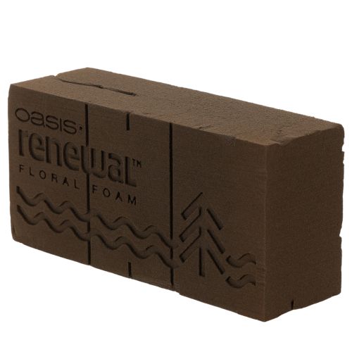 Oasis Renewal Steckschaum 23cm 1 Ziegel | Floristik24.de