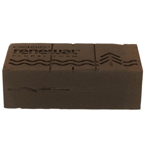 Oasis Renewal Steckschaum 23cm 1 Ziegel | Floristik24.de