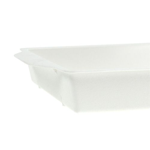 Artikel OASIS® Steckschale weiß 23cm x 11,5cm x 2,5cm 5 St