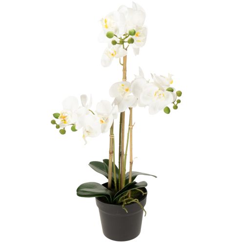 Floristik24 Künstliche Orchidee im Topf für ein harmonisches Ambiente weiß 60cm