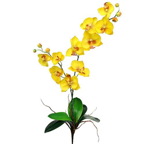 Orchidee Phalaenopsis Seidenblume Kunstblume grün gelb 70 cm 60301-01 F2 
