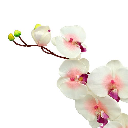 Artikel Orchidee mit 2 Zweigen 60cm Weiß-Rosa