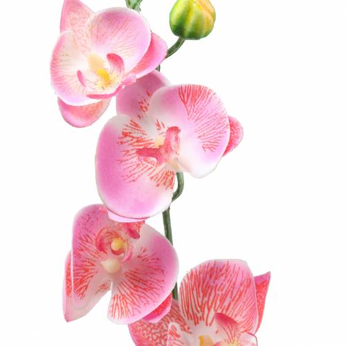 Orchidee Phalaenopsis Seidenblume Kunstblume 120 cm rose rosa 182261 F3 