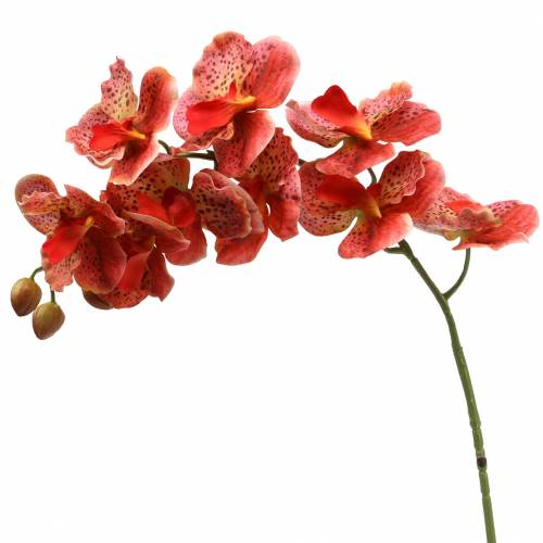 Floristik24 Künstliche Orchidee Phaelaenopsis Rot, Orange H81cm