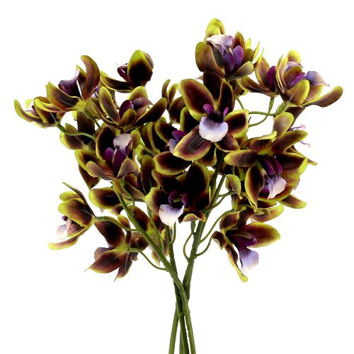 Floristik24 Orchidee Cymbidium Grün, Lila L38cm 4St