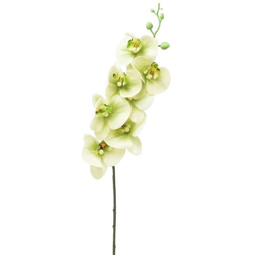 Artikel Orchidee Künstlich Gelb Grün Phalaenopsis L83cm