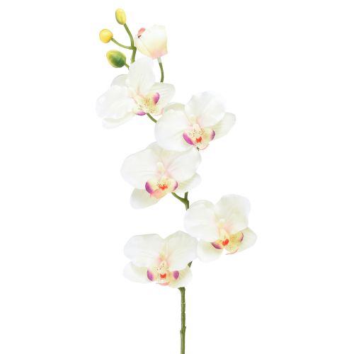 Orchidee Phalaenopsis künstlich 6 Blüten Creme Rosa 70cm