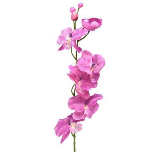 Orchidee Phalaenopsis künstlich 6 Blüten Lila 70cm