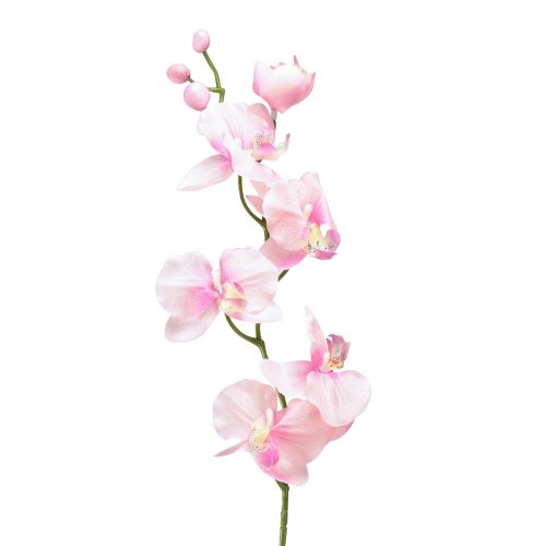 Orchidee Phalaenopsis künstlich 6 Blüten Rosa 70cm