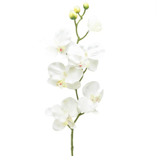 Floristik24 Orchidee Phalaenopsis künstlich 6 Blüten Weiß Creme 70cm