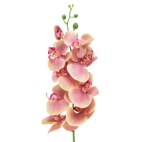 Floristik24 Orchidee Phalaenopsis künstlich 9 Blüten Pink Vanille 96cm
