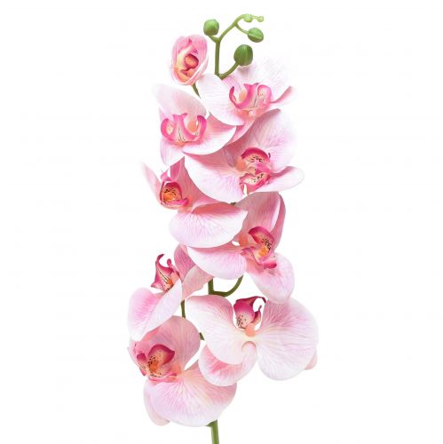 Floristik24 Orchidee Phalaenopsis künstlich 9 Blüten Rosa Weiß 96cm
