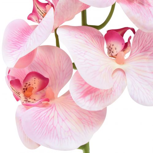 Artikel Orchidee Phalaenopsis künstlich 9 Blüten Rosa Weiß 96cm