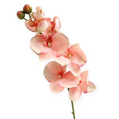 Orchidee Phalaenopsis Seidenblume Kunstblume 110 cm creme rose rosa 60410-03 F4 