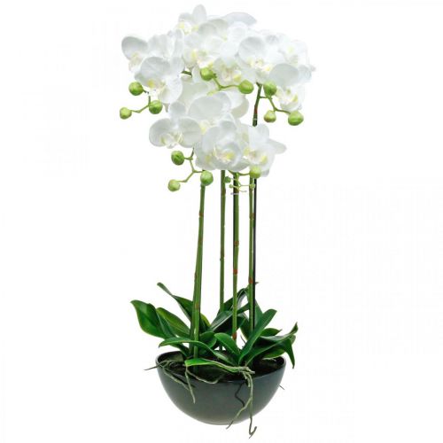 Künstliche Blumen in Topf Kunstblume Kunstpflanze Orchidee 23-48 cm 