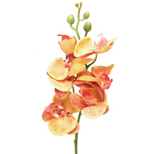 Floristik24 Orchidee künstlich Phalaenopsis geflammt Rot Gelb 78cm