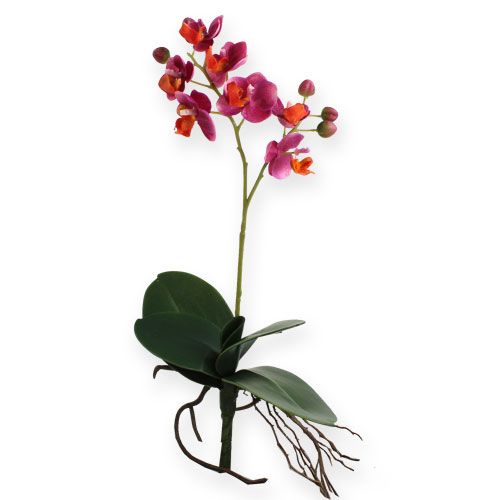 Phalaenopsis Mit Vase Bausteine Bausatz Spielzeug Zur Dekoration 533 Teile DE* 