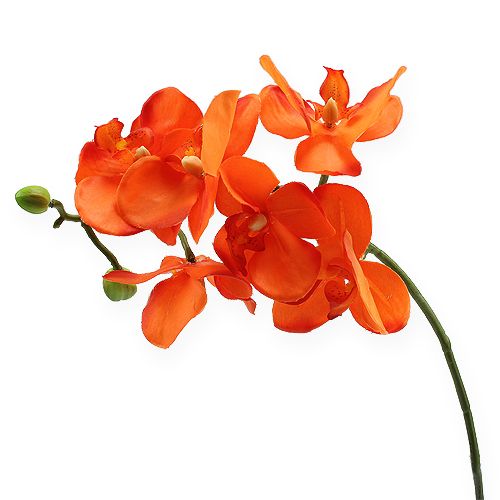 Floristik24 Orchideenzweig Orange 61cm
