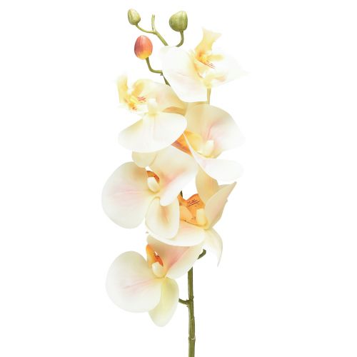 Künstliche Orchidee Creme Orange Phalaenopsis 78cm