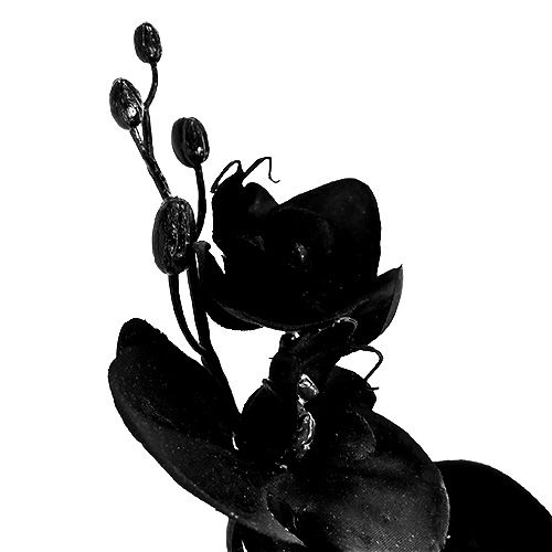 Floristik24 Orchidee schwarz L80cm