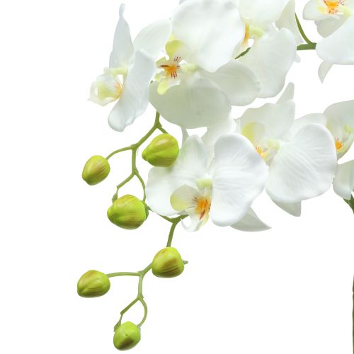 künstliche Orchidee weiß mit Topf ca.50 cm hoch Blätter Luftwurzeln 2 Stiele NEU