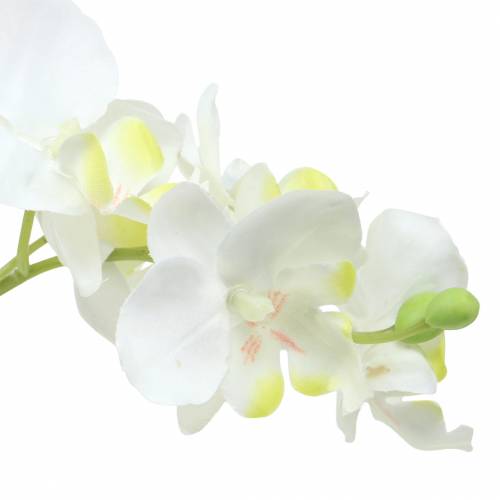 Floristik24 Orchideen Weiß im Topf Kunstpflanze H35cm