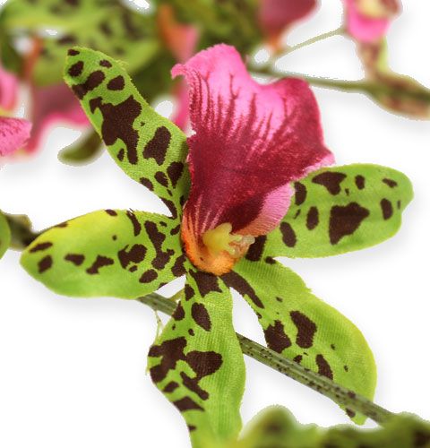Artikel Orchideenzweig Grün/Pink 105cm 