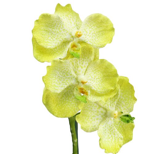 Orchidee Cymbidie Seidenblume Kunstblume 60 cm grün N-11638-1 F4 