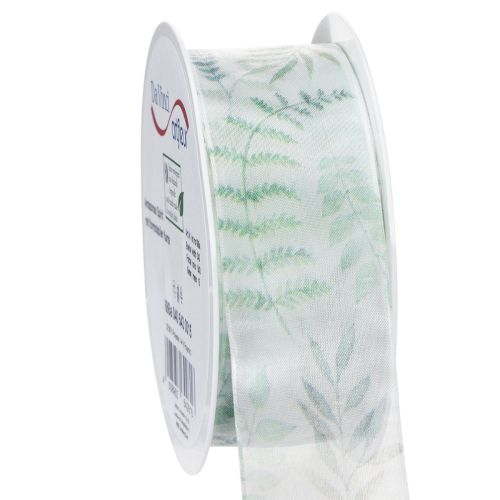 Organzaband Chiffonband Blätterzweige Grün 40mm 15m kaufen | Floristik24.de
