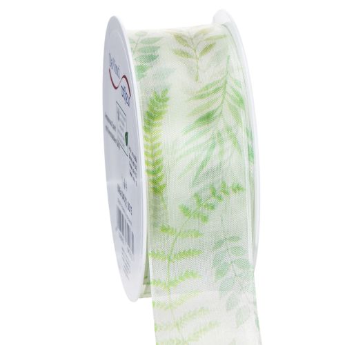 Organzaband Chiffonband Grün Blattranken 40mm 15m kaufen | Floristik24.de