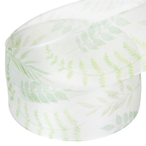 Organzaband Chiffonband Grün Blattranken 40mm 15m | Floristik24.de