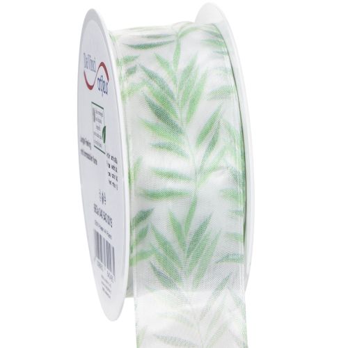 Organzaband Chiffonband Grüne Pflanzen Band 40mm 15m kaufen | Floristik24.de