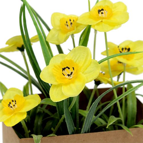 Floristik24 Osterglocke in Papiertasche Gelb H21cm