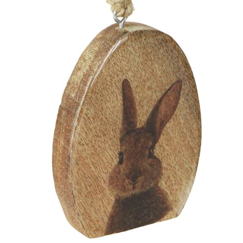 Artikel Ostern Anhänger Hase im Ei Holz Jute Natur 8x10,5cm 4St