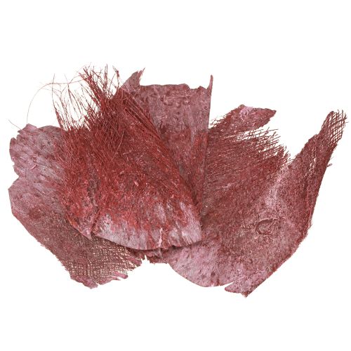 Floristik24 Palmfaser Deko Bastelmaterial für kreative Heimideen